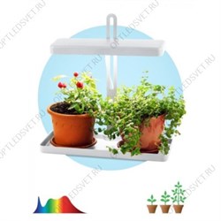 Светильник светодиодный для выращивания растений FITO-20W-QLED-W ЭРА